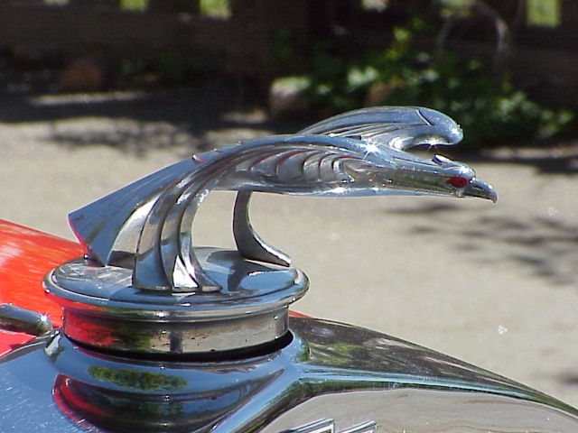 32 CSr - 19 32 CSr - 19