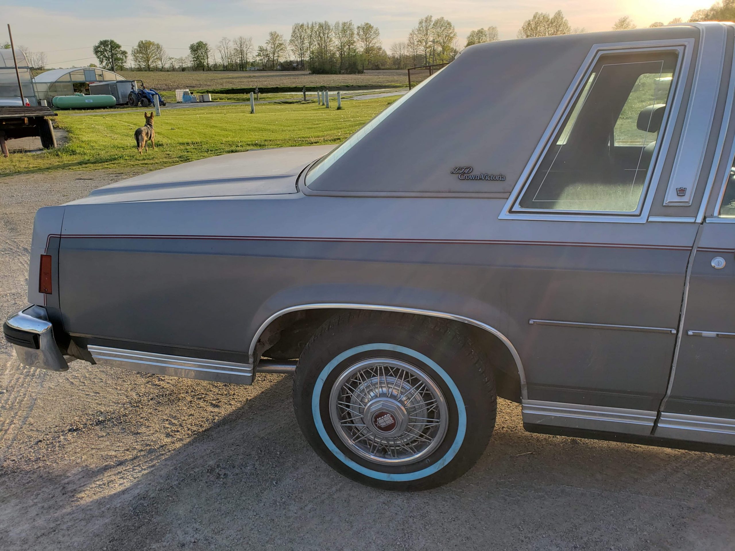 83fcv -6 83fcv -6